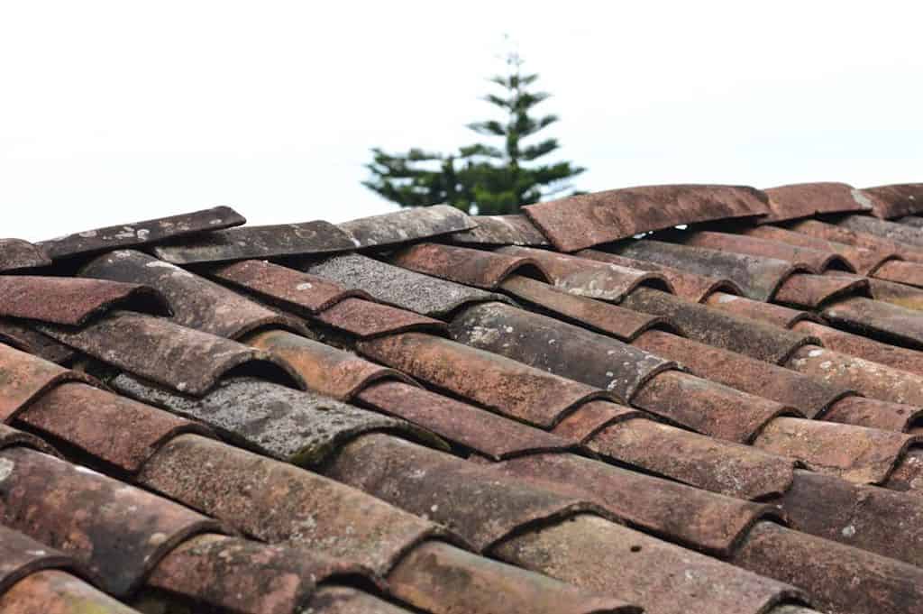 Miguel Á. Padriñán באתר PEXELS roof